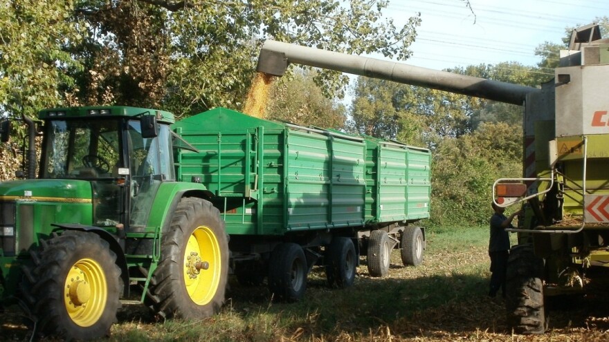 Prinos kukuruza odličan - prati ga i dobra otkupna cijena