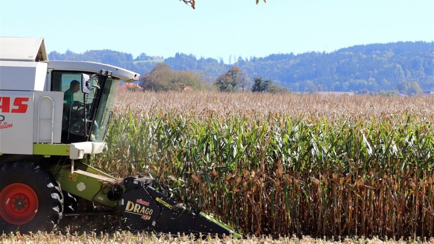 Još jedan slučaj krađe kukuruza. Sjever RH na udaru kombajnista koji upadaju u tuđa polja?