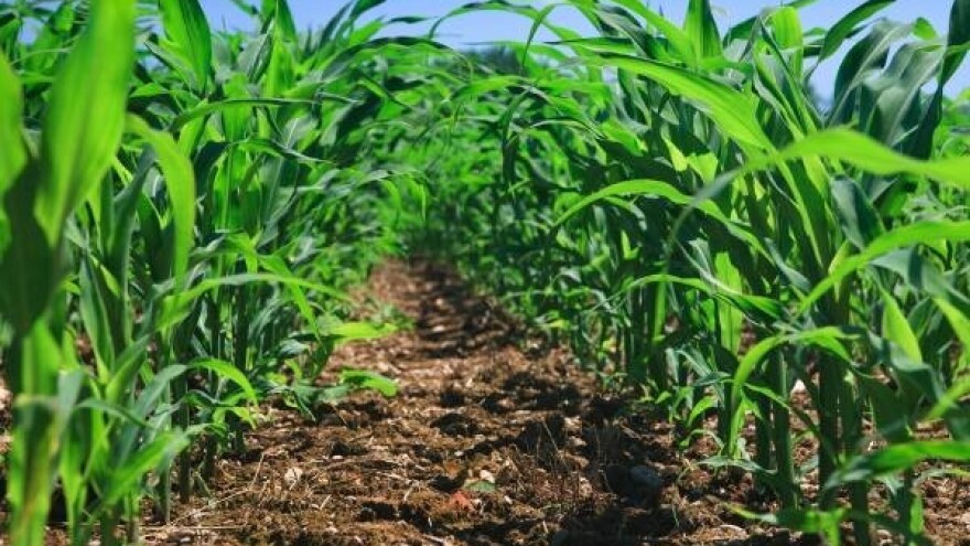 Nakon 4 godine, EU vratila uvozne carine!