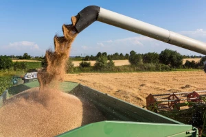 Srbija od agrara zaradila 1,6 milijardi evra