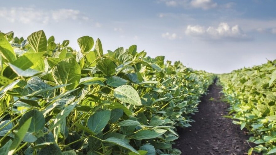 Najpametnija aplikacija za izvrsne prinose