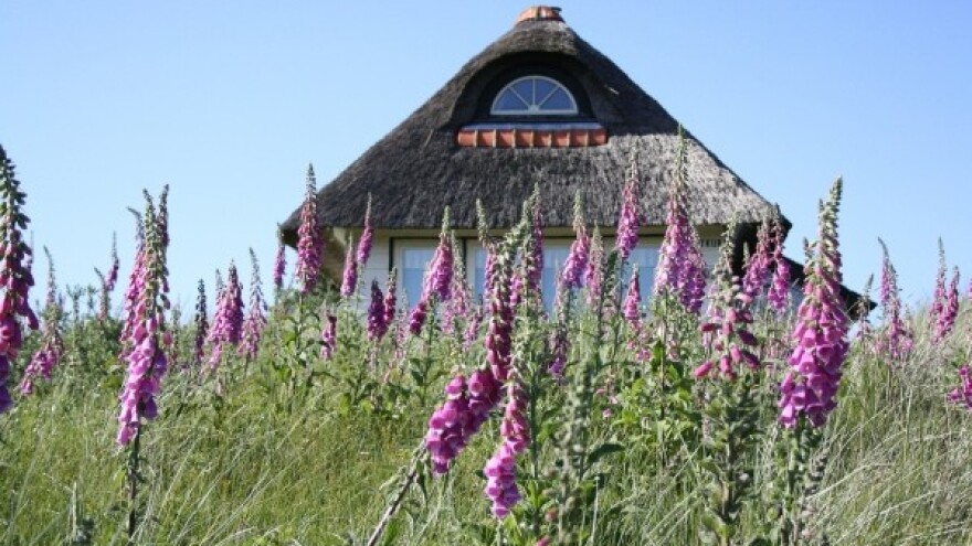 Rušenje nelegalnih objekata u parkovima prirode