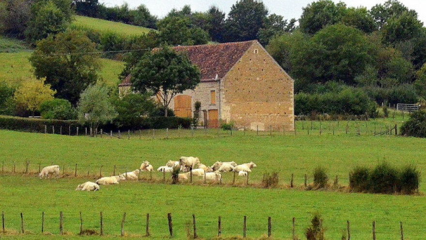 Šta je progam ruralnog razvoja - EAFRD?