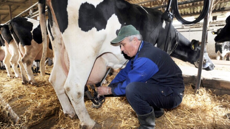 Koje su to preporuke stručnjaka za zdravije rješenje u stočarstvu?
