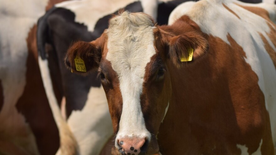 Isplaćeno oko 4 miliona KM za podsticaje u poljoprivredi