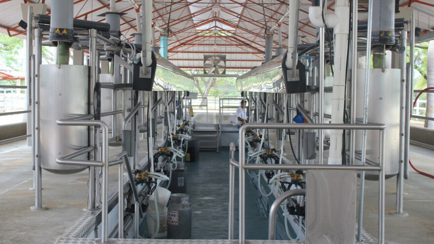 Mljekari neće cijepiti goveda dok ne dobiju odštetu