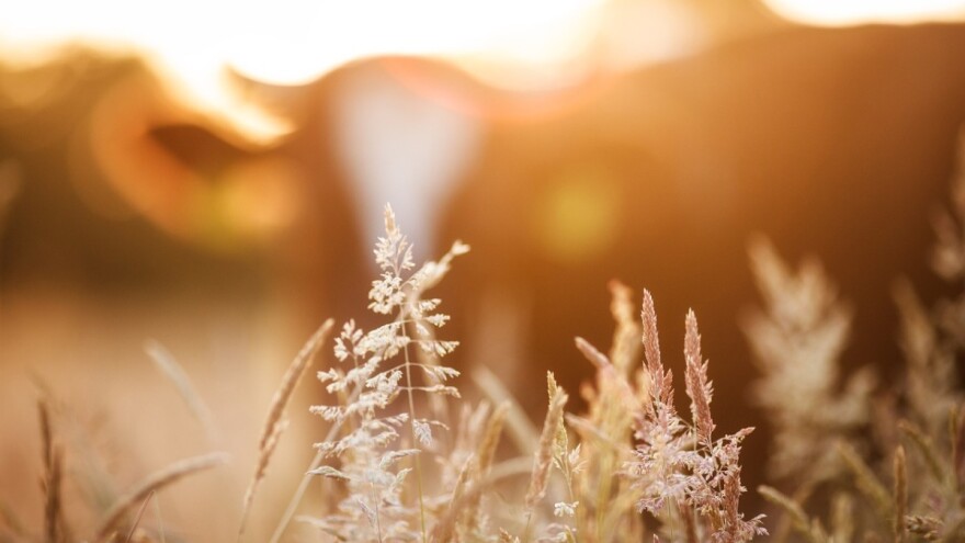 APPRRR objavila izmjene natječaja za podmjeru 4.2.!