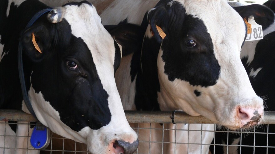 Banjalučkim poljoprivrednicima 900.000 KM