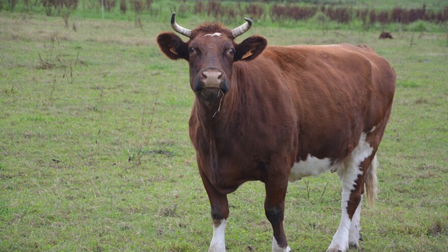 Novčane podsticaje vrijednosti 120.000 KM dobilo 300 poljoprivrednika