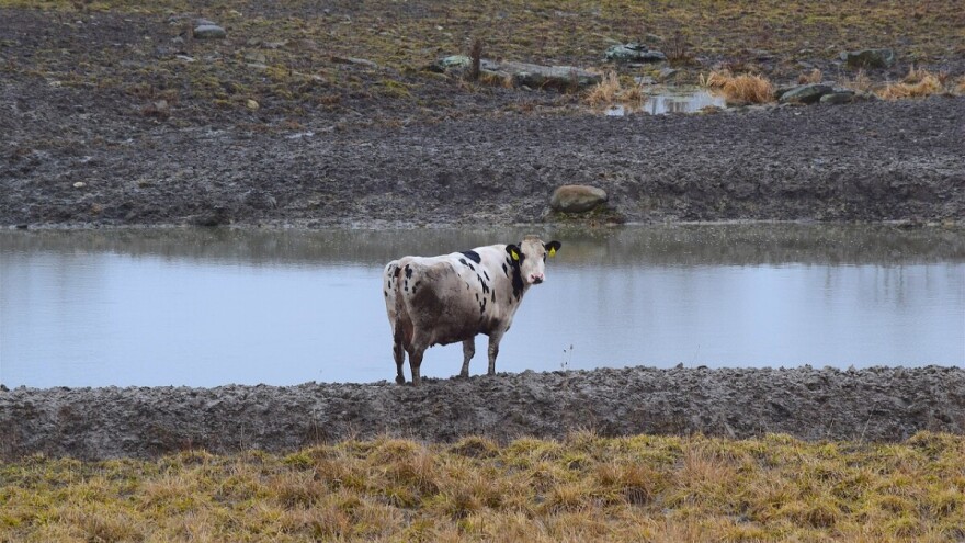 Jače južno strujanje donosi neuobičajeno visoke temperature