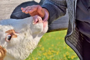 HPK bira najuspješnije projekte financirane mjerama iz Programa ruralnog razvoja