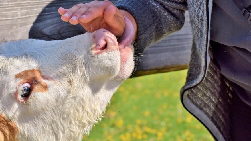 HPK bira najuspješnije projekte financirane mjerama iz Programa ruralnog razvoja