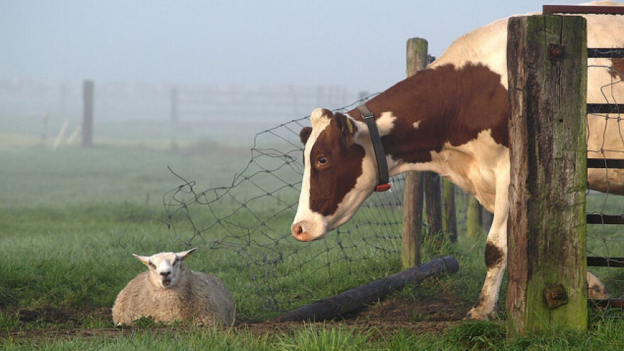Za farme od Pokrajine 35 miliona dinara