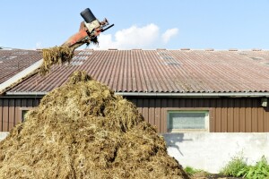 Naftaši traže novu priliku za zaradu - u igri i kravlje gnojivo