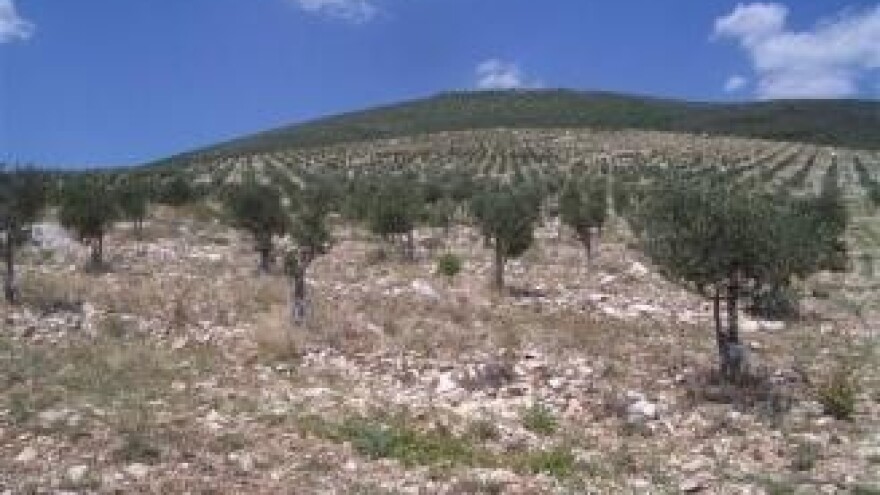 Prodaja državnog zemljišta na Cresu