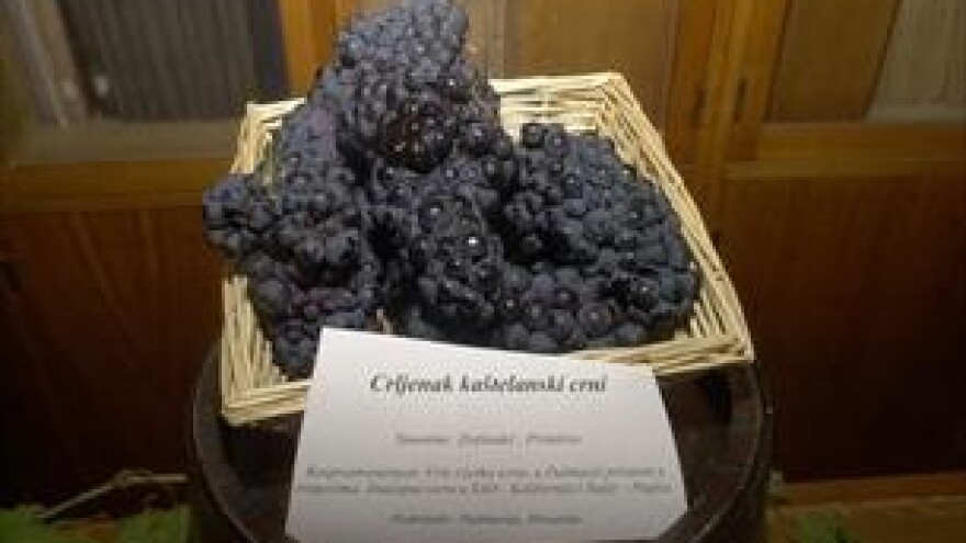 Kaštelima Centar za vinogradarstvo