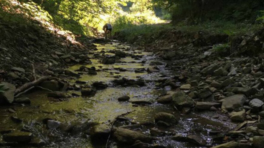 Dijasporac obnavlja zapušteno selo!