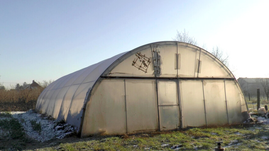 Ulaganje u povrtarsku proizvodnju višestruko se isplati i vraća?