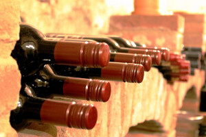Kako pravilno označiti vino sorte Teran?