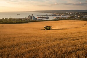 Crnomorska regija - izvor pšenice u 2017.