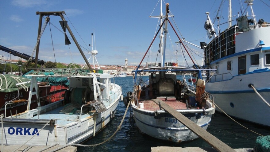 Javnost o ribolovu u akvatoriju ušća rijeke Raše i Pravilniku o Registru ribarske flote