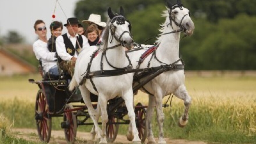 Karanac - eko etno biser baranjskog turizma
