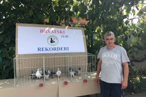 Odlični i dugi letovi hrvatskih tiplera