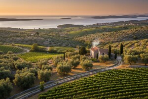 Croatian Agriculture