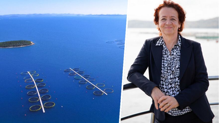 Kako je Cromaris prvi i jedini na svijetu pripitomio cara od riba?