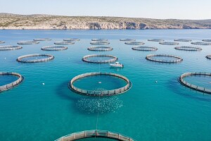 Cromaris sve brže pliva prema stranim tržištima