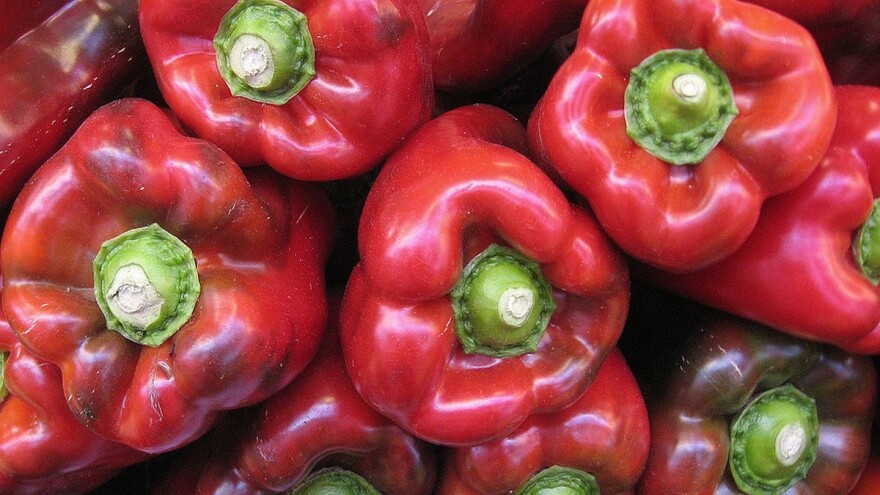 Ruski Krstur: Rod i kvalitet paprike podbacili