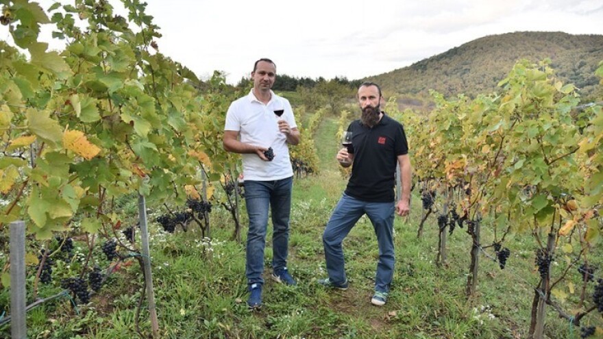 Rođaci otvorili vinariju na crvenom brijegu i oživljavaju legende