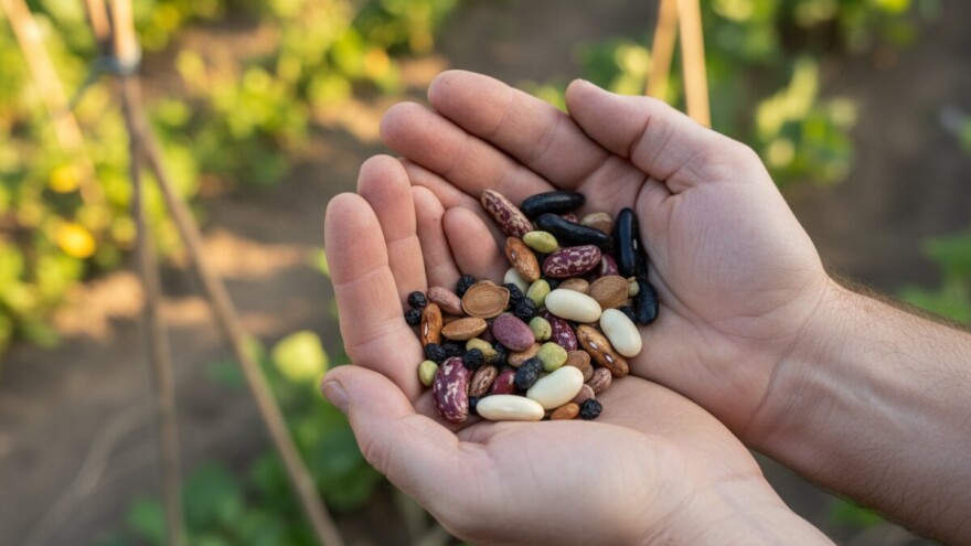 Čudesan vrt hranjivih biljki