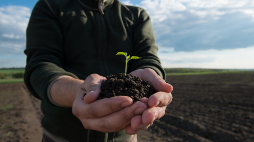 Što tržište traži, a da mu ja to mogu ponuditi?