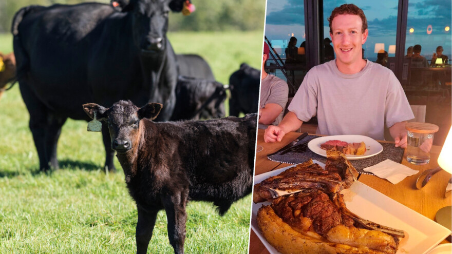 Mark Zuckerberg počeo uzgajati goveda: Od svih mojih projekata, ovaj je najukusniji