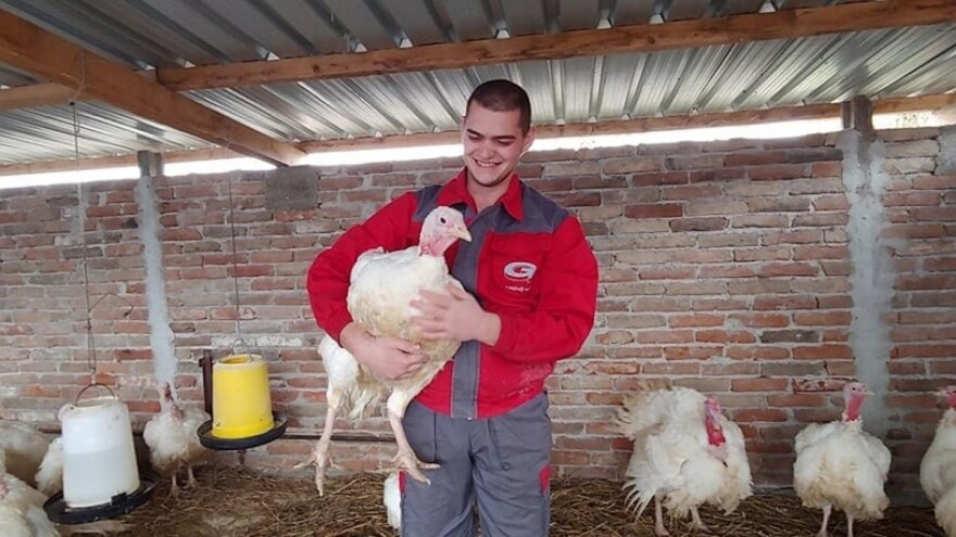 Tov ćuraka isplativ, ali - problem nedostatak tržišta i uvoz mesa