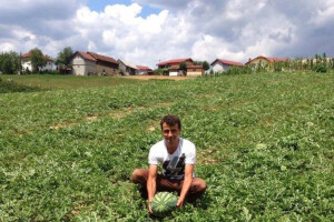 Za kvalitet Elvedinovih lubenica daleko se čuje
