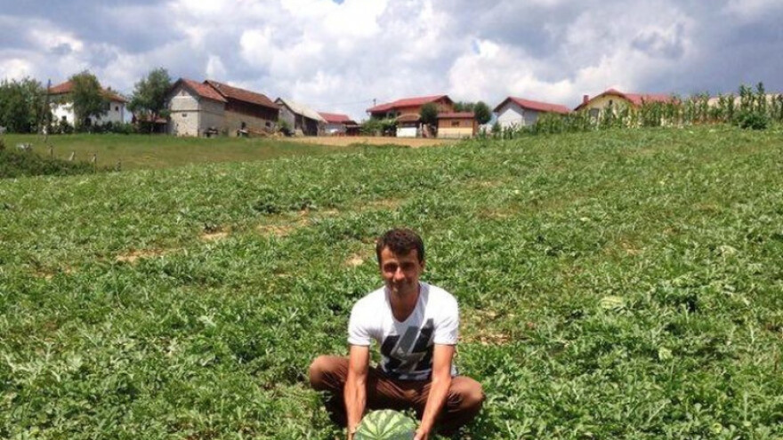 Za kvalitet Elvedinovih lubenica daleko se čuje