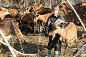 Najmlađi pastir u komšiluku - ima samo 6 godina