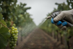 Čuvar Vašeg uroda u vinogradima i voćnjacima
