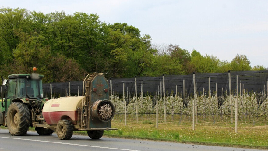 Alternativna rodnost jabuke može se lako sprečiti ili zaustaviti, evo kako