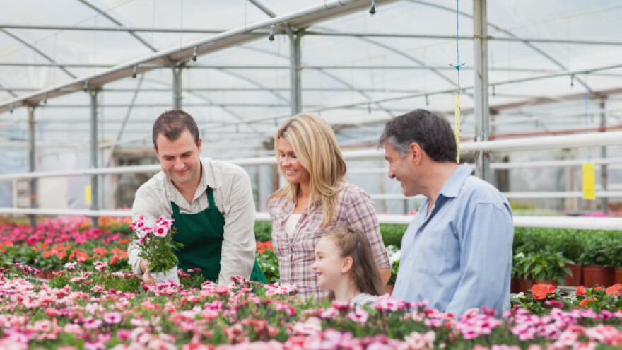 Posao koji cveta cele godine