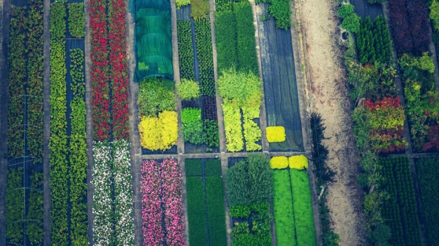 Sa 650 miliona eura nadoknađuju štetu u cvjećarstvu, vrtlarstvu i uzgoju krompira