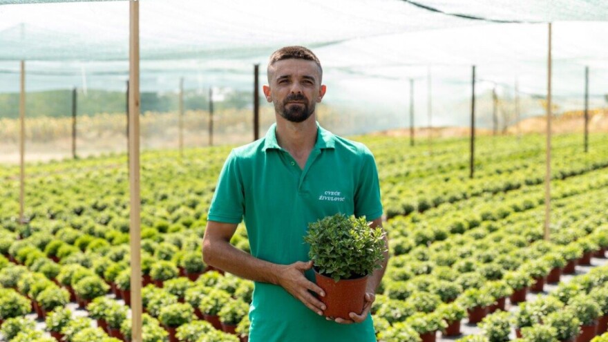 Cvetna priča iz Srbije: Živulovići ne odustaju od svojih snova, plan je proširiti proizvodnju
