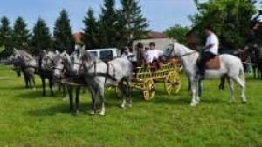 Cvelferijom uzduž i poprijeko