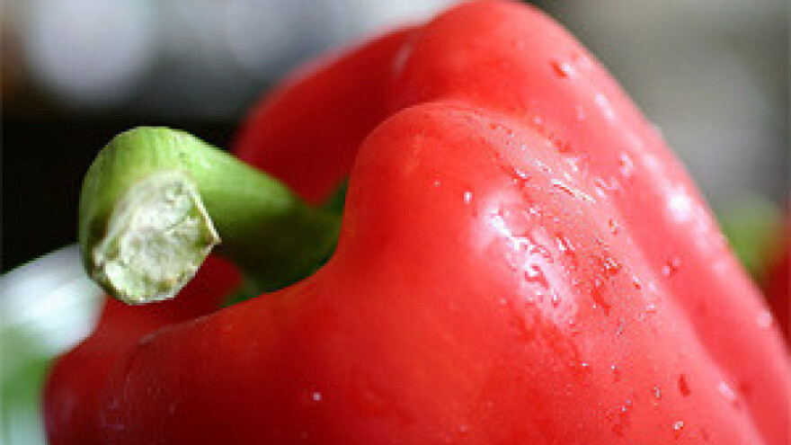 "Zemljopisno porijeklo'' za izvoz virovitičke paprike