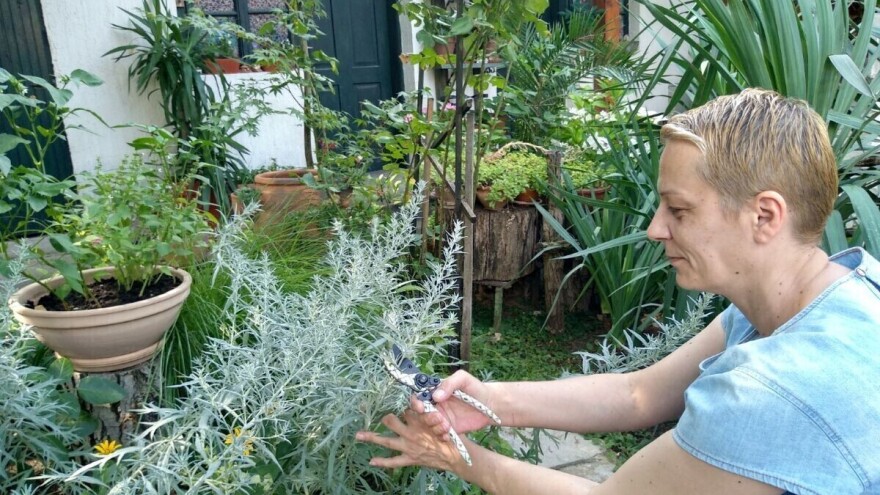 Milica Arsić iz Topole vlasnica je najljepšeg vrta u konkursu #najokućnica