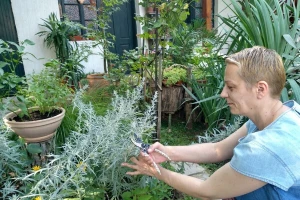 Milica Arsić vlasnica je najlepšeg vrta u srcu Šumadije