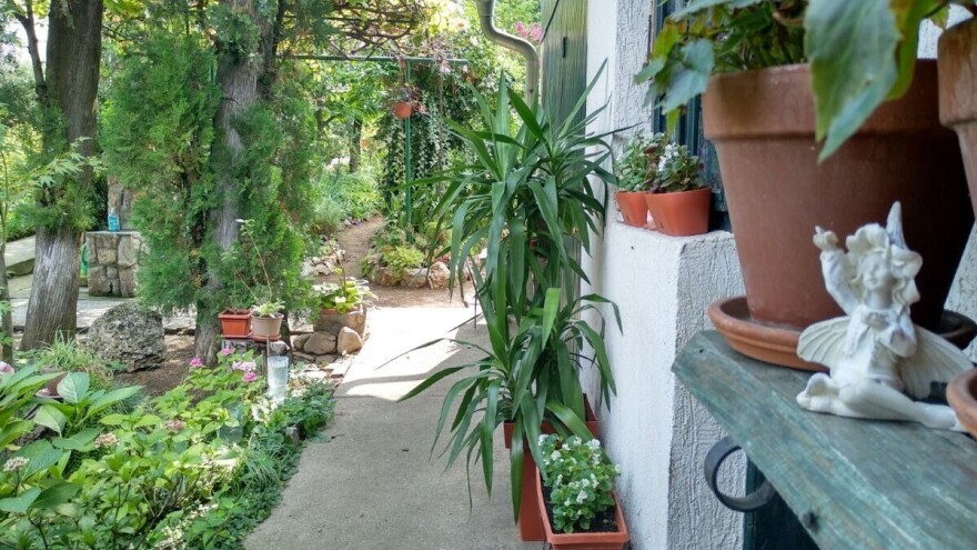Ako imate najlepšu baštu, to niste vi - to su kurkućice?