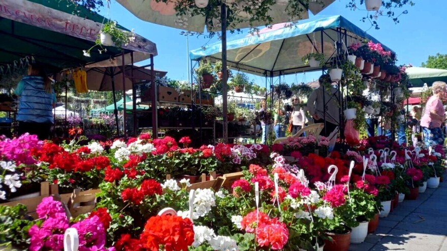 Više od 100 izlagača na Sajmu hortikulture u Kragujevcu od 19. do 21. aprila